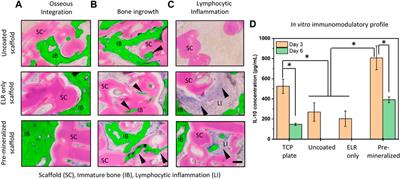 Mineralizing Coating on 3D Printed Scaffolds for the Promotion of Osseointegration